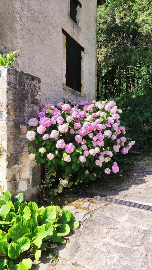 Bed and Breakfast La Fontaine Du Mas Thiviers Экстерьер фото